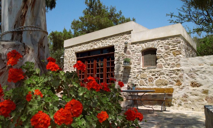 Syros Cottage | Stone-built studio under two Eucalyptus trees.