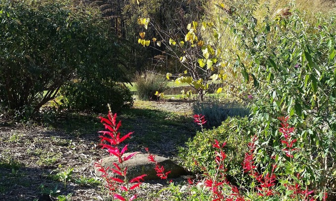Lovettsville Bed & Breakfast | Stone Manor Boutique Inn