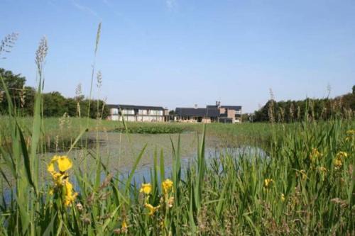 Callantsoog Hotel | Strandhotel de Horn