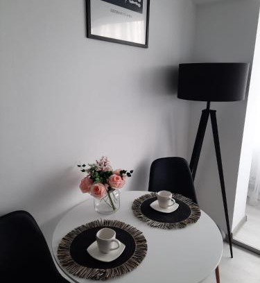 Fagaras Apartment | Studio ANA