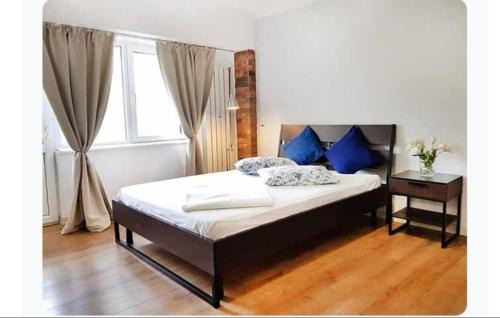 Sector 1 Apartment | Studio Arc de Triumf Piata Victoriei