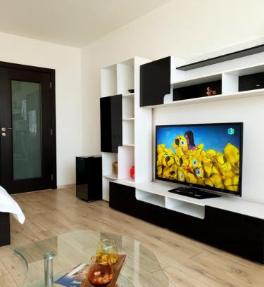 Piatra Neamt Apartment | Studio Central