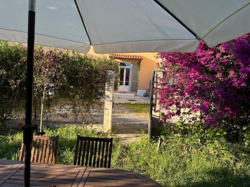 Saint-Augustin Apartment | STUDIO dans Villa à Nice Ouest