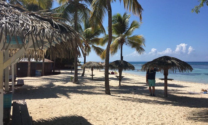 Anse des Rochers Apartment | Studio/loggia on the first floor of a comfortable villa. In a magnificent park.