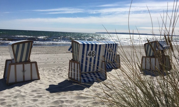 Neddesitz Apartment | Studio "MS mussel" in the holiday park