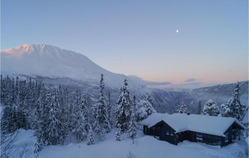 Atra House | Stunning Home In Rjukan With Wifi