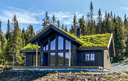 Vinje House | Stunning Home In Vinje With Wifi