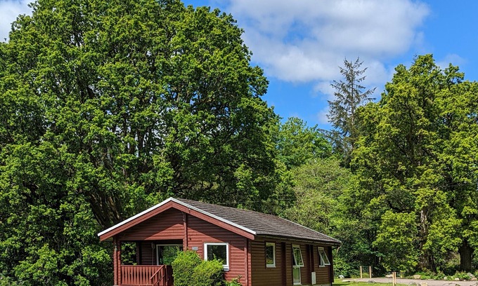 Rashfield Cabin | Stylish, Comfy & Cosy log cabin in National Park, dogs & families welcome!