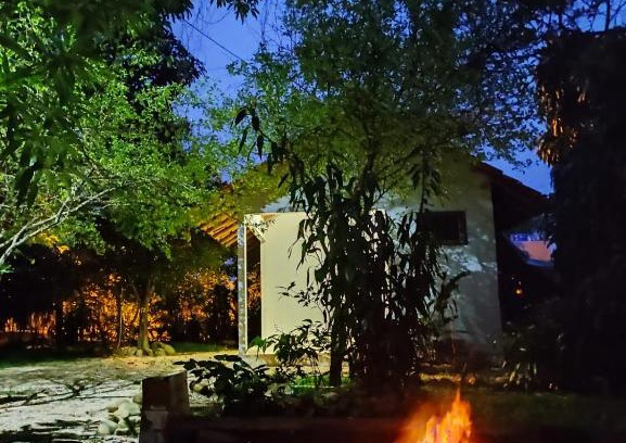 Cuiaba House | Suíte da Floresta