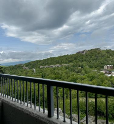 Sugar Mountain Apartment | Sugar Top 2103 condo