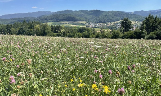 Soelden Apartment | Summer promotion wine festival & hiking: FREIBURG in Sölden/Black Forest up to 3 persons