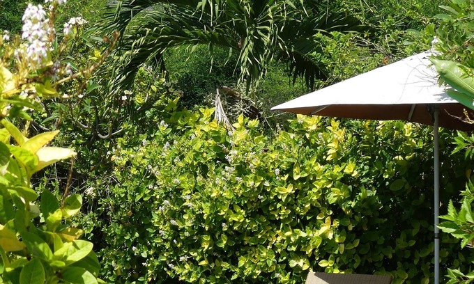 Pemuteran Hotel | Sunia Loka