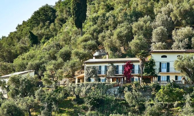 Vicopelago House | Superb Olive Grove House - Lovely Pool! Views LEANING TOWER! Near Pisa & Lucca.