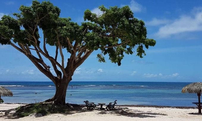 Anse des Rochers Apartment | Superb Studio "Lespiedsdansleau" 34 m2 garden level, sea view 2/3 persons