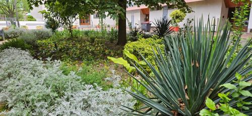 Argenteuil Apartment | Superbe appartement argenteuil gare du val