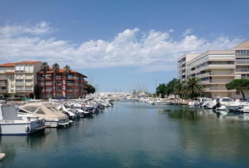 Le Port Apartment | Superbe T3 climatisé calme Marina canet 2 min de la plage