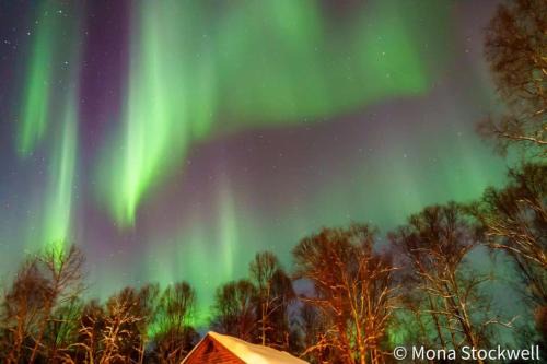 Talkeetna Cabin | Susitna River Lodging, Suites