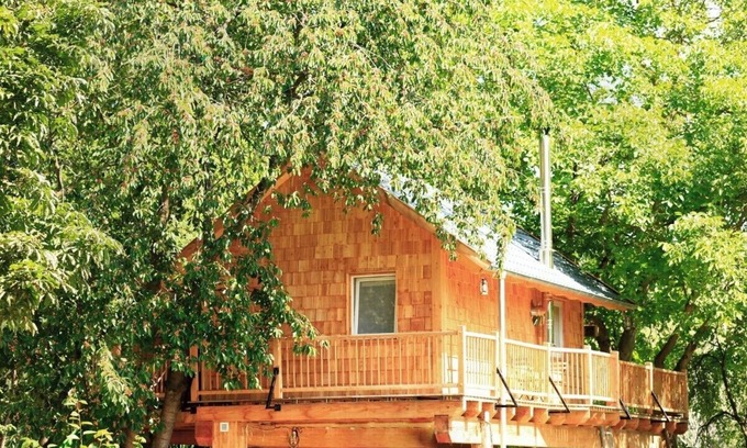 Zernien Cabin | Sustainable tree house BaHu with sauna and hot tub in the middle of nature