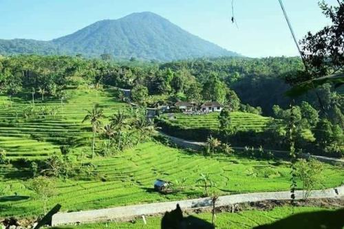 Penebel House | Suweden Homestay