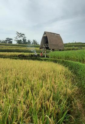 Sebatu Other | Swaha Retreat & Eco Park Ubud