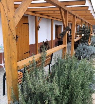 Lajosmizse Villa | SzC Lovasbirtok