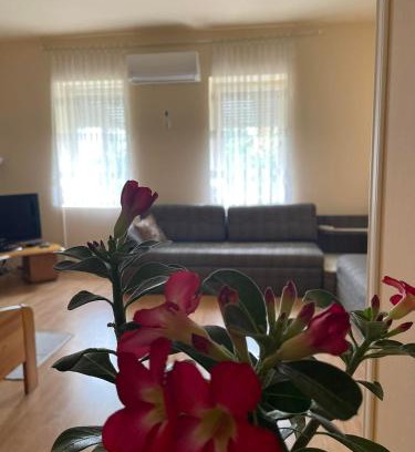 Szeged Apartment | Tápé