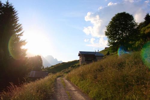Comelico Superiore Apartment | Tabià di Francesca - fienile tra le montagne silenziose