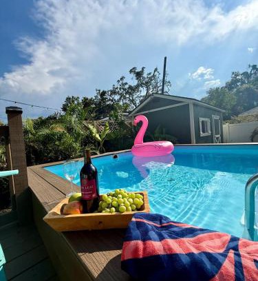 Tampa House | Tampa Jungalow- Pool Oasis