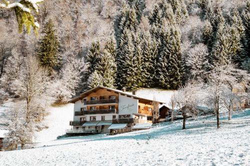 Sankt Gallenkirch Apartment | Tanafreida Berg-Refugium