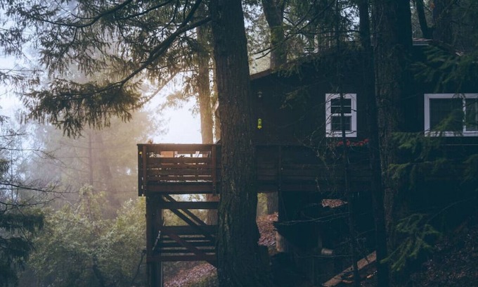 Lakehead Cottage | Tawny Owl Cottage · Tawny Owl Cottage - Cozy Cabin Retreat with a View