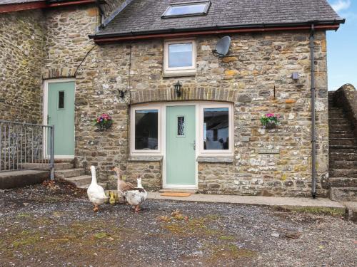 Llandeilo House | Teifi Cottage - Uk49590