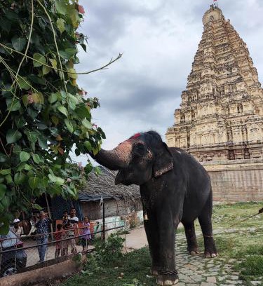 Hampi House | TEMPLE VIEW GUEST HOUSE
