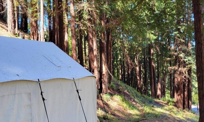 Soquel RV Rental | Tentrr Signature Site - Redwood Grove A