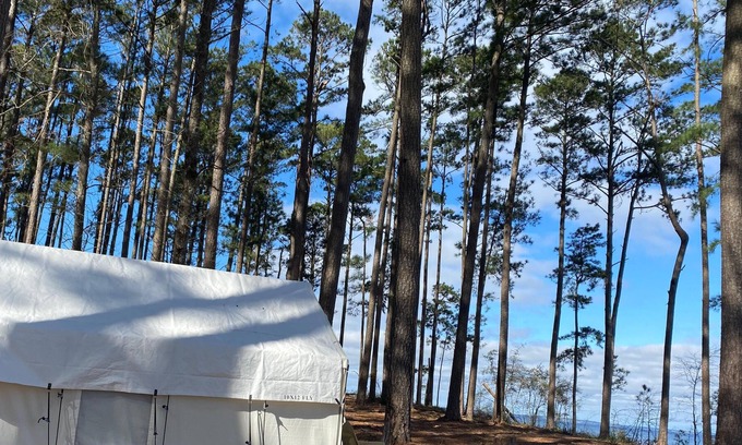 Anacoco RV Rental | Tentrr State Park Site - Louisiana South Toledo Bend State Park - Site B - Sing