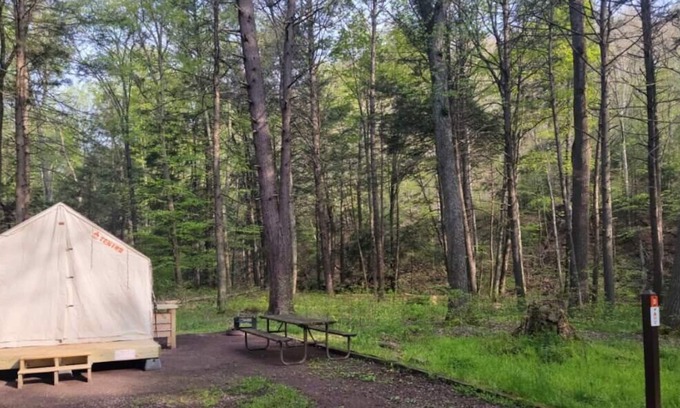 Swanton RV Rental | Tentrr State Park Site - Big Run State Park - Site D