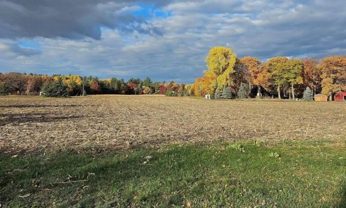 Cushing Resort | The Beahive Resort Unit # 3