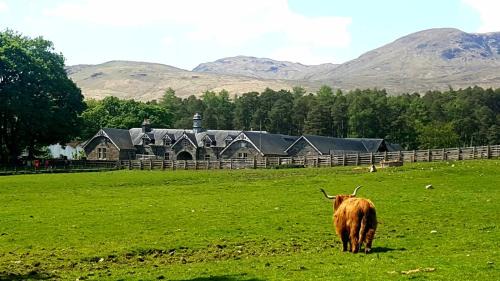 Hogwarts House | The Bothy, Gallin, Glenlyon, Perthshire