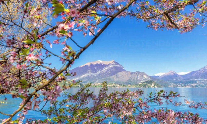 Lierna Cottage | The charm of Lake Como from your personal infiity pool