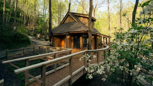 Gatlinburg House | The Elm in Treehouse Grove at Norton Creek