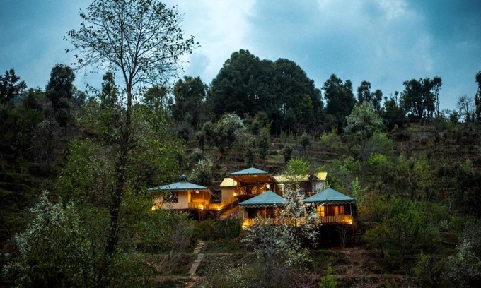 Kaul Other | The Foliage