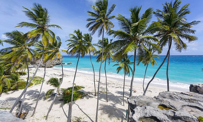 Apple Hall House | The Gem is Located a few Minutes Walk to the Gorgeous Bottom Bay Beach