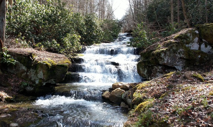 Cosby Cabin | The General Store - Breathtaking Waterfalls - FREE ATTRACTION TICKETS!!!