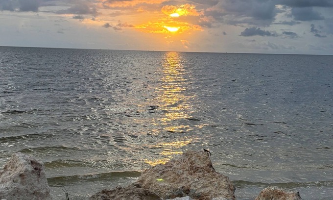 Flor-a-mar House | The Golden Pelican – Your Waterfront Escape in Gulf Harbors