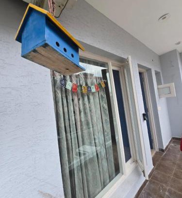 Zirakpur Apartment | The Green Door Tricity
