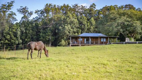 Coramba House | The Hitching Rail Hut - Romantic, Rural, Horses