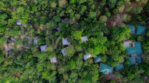 Muttil South Hotel | The Hive, Wayanad