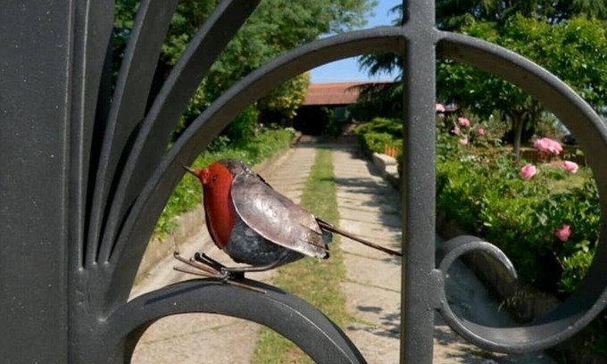 Velletri House | The House Of The Robin