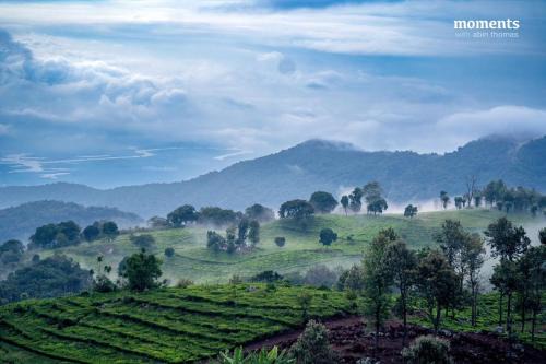 Kotagiri Bed & Breakfast | The Logs Resort