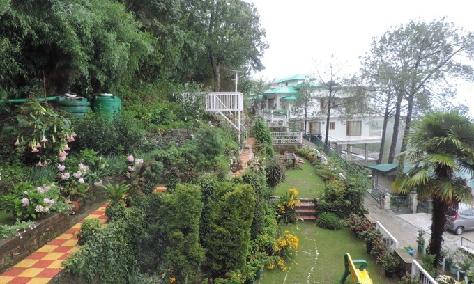 Kasauli Bed & Breakfast | The Majestic Cedar