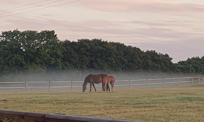 Wareham Apartment | The Paddocks - Spacious annexe with rural outlook.